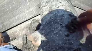 ---- TELHADO VEDAR COM VEDA CALHA PLATA. ''ROOF sealing with VEDA TROUGH PLANT.''