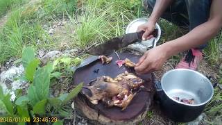 Đi rừng thế này còn gì bằng