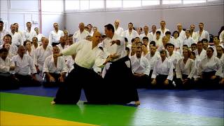 Christian Tissier International Aikido Seminar