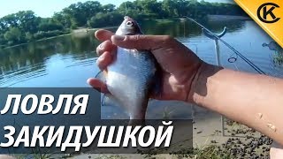 Ловля БЕЛОЙ РЫБЫ на тухлую ракушку ЗАКИДУШКОЙ