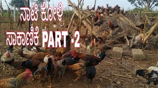 ನಾಟಿ ಕೋಳಿ ಸಾಕಾಣಿಕೆ Part2 koli 963237೭೨೭೫