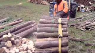 Brennholz sägen mit Stihl MS 650