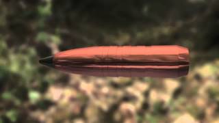 Product Overview: Trophy Copper Federal Premium Ammunition