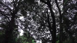 玉山天神社　神社仏閣巡り　Shrines and temples tour