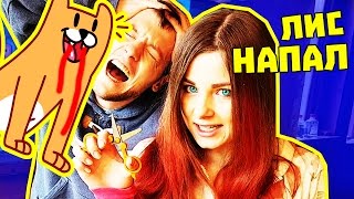 СТИКЕР ЛИС НАПАЛ И ВСКРЫЛ ВЕНЫ ПАРНЮ / ОТОМСТИЛА ЗА ПРАНКИ Павлик Павлик!