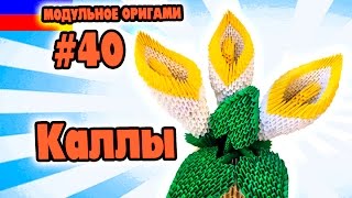 МОДУЛЬНОЕ ОРИГАМИ #40 ЦВЕТЫ КАЛЛЫ