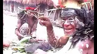 Expedition to West Papua