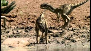 Infant Allosauruses - Walking with Dinosaurs: Ballad of Big Al - BBC