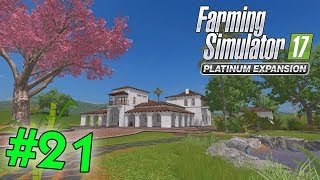 FS17 CACAO MERAVIGLIAO N.21 RAZIONE MISTA PER LE VACCHE