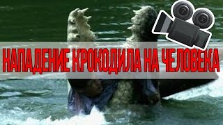 УЖАСНЫЕ НАПАДЕНИЯ КРОКОДИЛОВ НА ЛЮДЕЙ СНЯТЫЕ НА КАМЕРУ