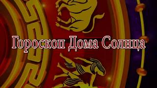 Близнецы. Гороскоп на январь  2019 года