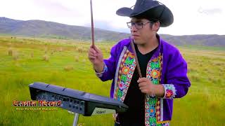 CCASITA RECORD & ROXI TU DULCE ENCANTO  2019  siempre solterito
