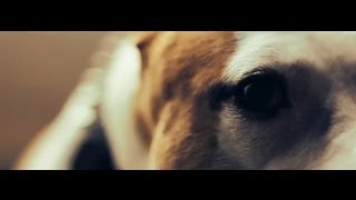 RAPCORE - ULTIMA NOTTE ( prod by DR.CREAM )
