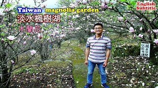 帶你搭公車到淡水楓樹湖看木蘭花，還有一處清幽秘境桃花源
