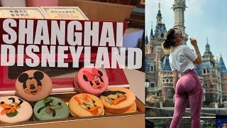Disneyland Shanghai in 4 hours!