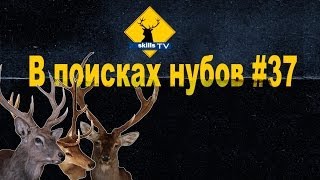 В поисках нубов #37