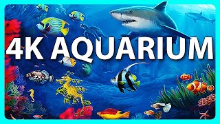 The Best 4K Aquarium for Relaxation ? Sleep Relax Meditation Music - 2 hours - 4K UHD Screensaver