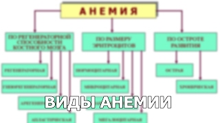 Виды анемии