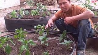 Raised Bed Vegetable Garden Install from Start to Finish