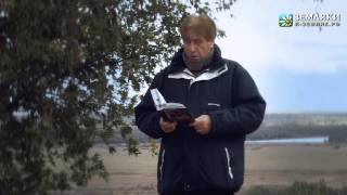 Геннадий Морозов "Ещё вчера наплывом хмури..."