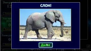 ОТВЕТЫ игра ЭКСТРАСЕНС. 11, 12, 13, 14, 15, 16, 17, 18, 19, 20 уровень.