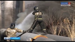 Палы в городе и окрестностях