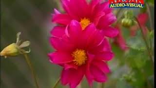 Zulmi Dheere Dheere