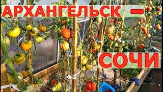 РЕЗУЛЬТАТЫ ЗРИТЕЛЕЙ: АРХАНГЕЛЬСК, СОЧИ.