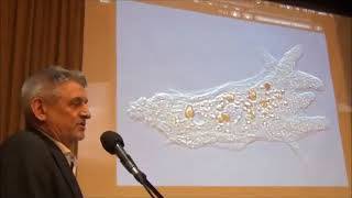 Сухонос С.И. ЧЕЛОВЕК В ЭВОЛЮЦИОННОЙ ЦЕПИ РАЗВИТИЯ ИНФОРМАЦИОННЫХ МИРОВ. 2019.04.07