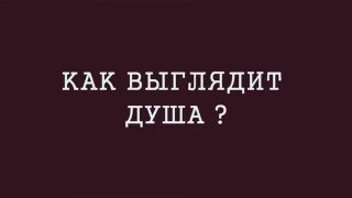 ДУША. Что такое душа. ФОТО. Есть ли душа у животных?