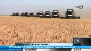 Үкіметте астық бағасы белгіленді