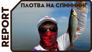 Плотва, елец и окунь на спиннинг. Рыбалка на Ладоге. Это невероятно!
