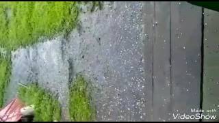 В Булаево 10.06.2017 град