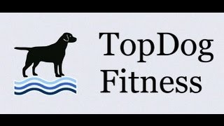Tosha The Corgi // Top Dog Fitness // фитнес-центр для собак