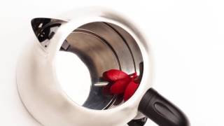 Чайник Russell Hobbs 20090 OXFORD