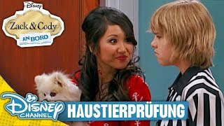 ZACK & CODY AN BORD - Clip: Haustierprüfung | Disney Channel App ?