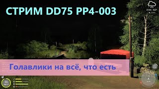 Стрим: Русская рыбалка 4 - река Вьюнок - Голавлики на всё, что есть