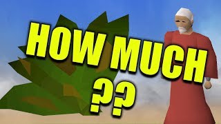 The Low Combat Money Making Alt
