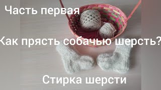 Как прясть собачью шерсть//1 часть//Стирка