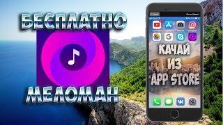 Меломан как скачать музыку и фильмы бесплатно?