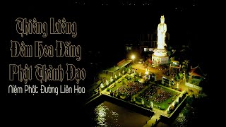 Thiêng Liêng Đêm Hoa Đăng Phật Thành Đạo 2020