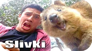 ЛУЧШИЕ ПРИКОЛЫ #248