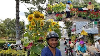 Chợ Hoa Chiều 30 Tết Ở Miền Tây