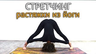 Стретчинг: комплекс упражнений из йоги в домашних условиях