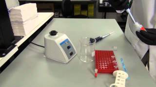Chromatin Immunoprecipitation Visual Protocol: Phase 3
