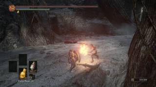 Dark Souls 3 - Desert Pyromancer Zoey vs Amnesiac Lapp