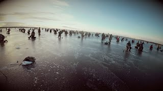 ПЕРВЫЙ ЛЁД. Ладожский окунь. Открытие зимнего сезона