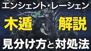 【MHW】見分け方と対処法！ネッカーでも分かるエンシェント・レーシェン木遁解説
