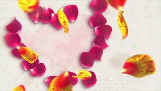 Свадебный проект хромакей  Wedding project chroma key