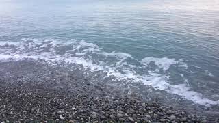 Море спокойствия. Погода в Сочи зимой 16.01.18